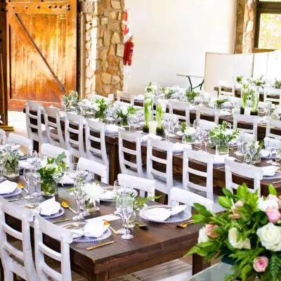 Wedding Reception