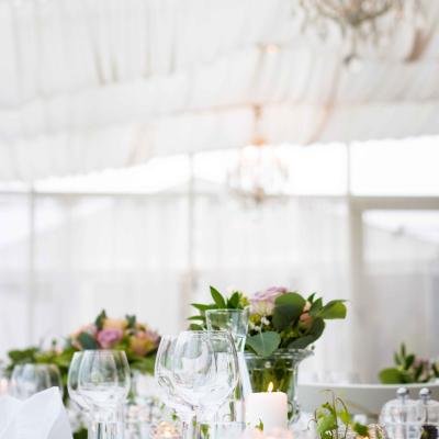 Wed Reception Te2